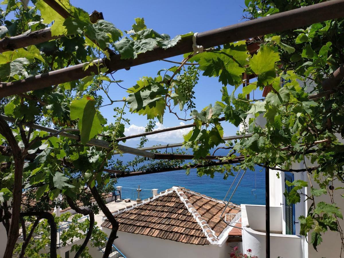 Q Bay Apartments Κηπαρό Εξωτερικό φωτογραφία